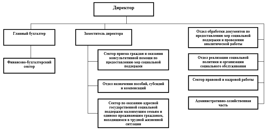 Структура ГКУ НО «Управление социальной защиты населения Богородского района»
